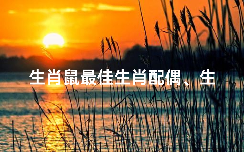 生肖鼠最佳生肖配偶、生肖鼠最佳生肖配偶是谁