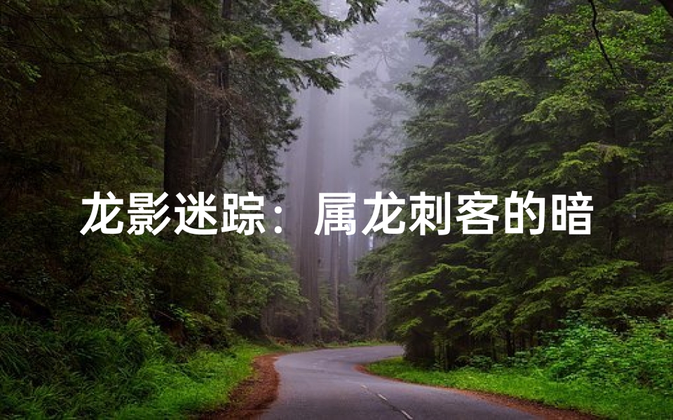 龙影迷踪：属龙刺客的暗夜传奇