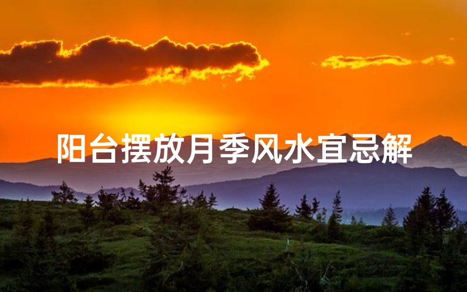 阳台摆放月季风水宜忌解析