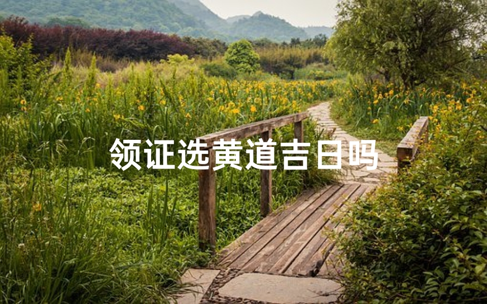 领证选黄道吉日吗