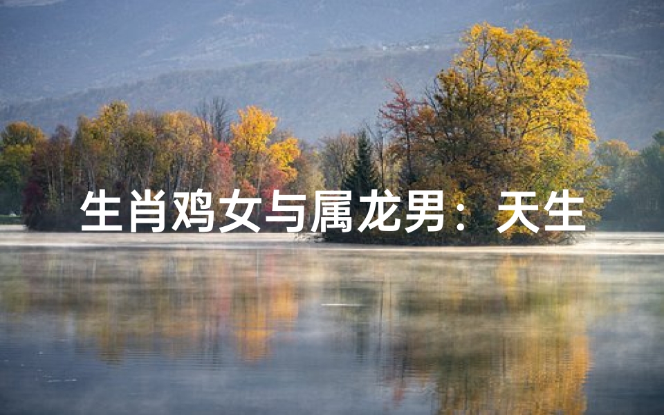 生肖鸡女与属龙男:天生佳偶?