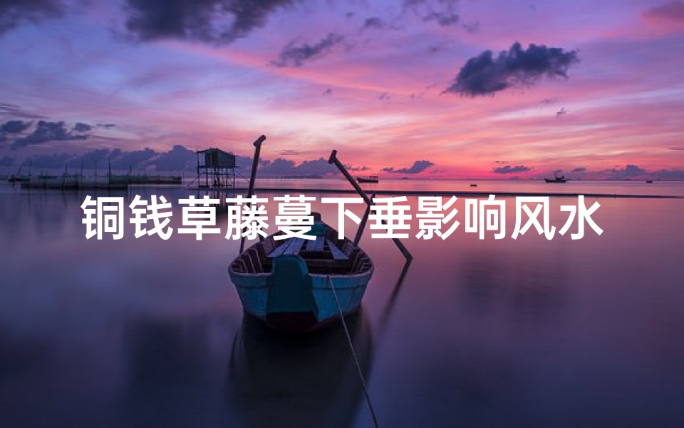 铜钱草藤蔓下垂影响风水吗(铜钱草塌下来了怎么办)