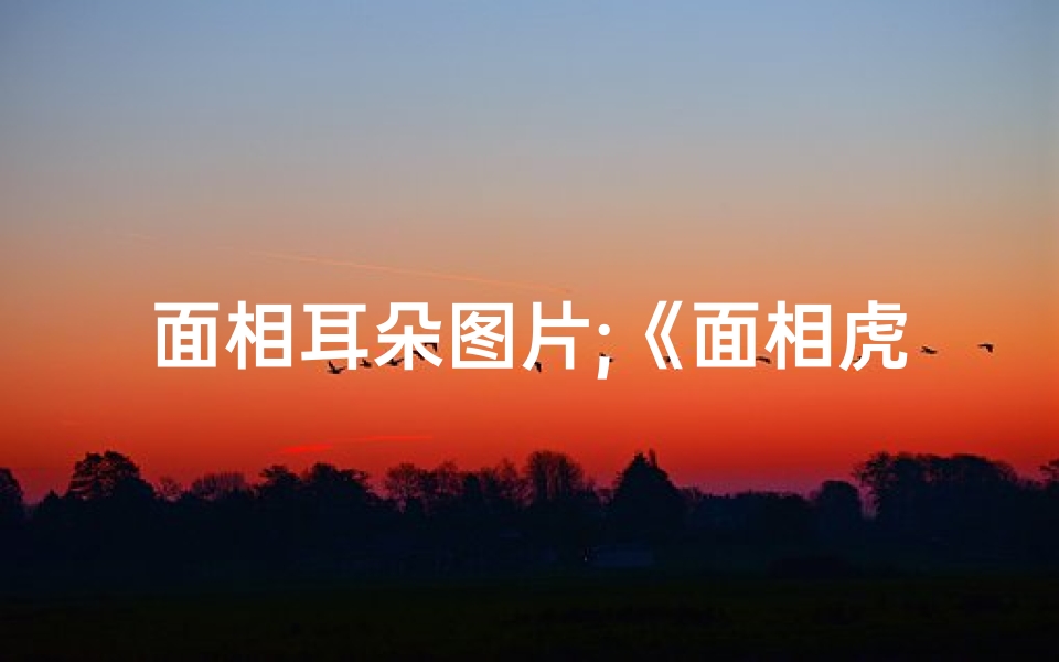 面相耳朵图片;《面相虎耳吉凶揭秘:图解面相奥秘》