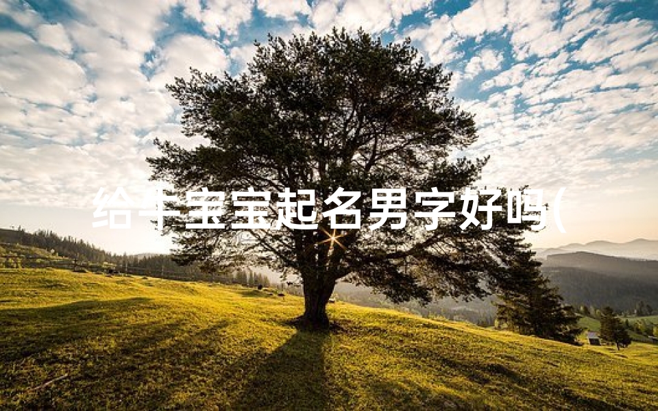 给牛宝宝起名男字好吗(牛年给宝宝取名字)