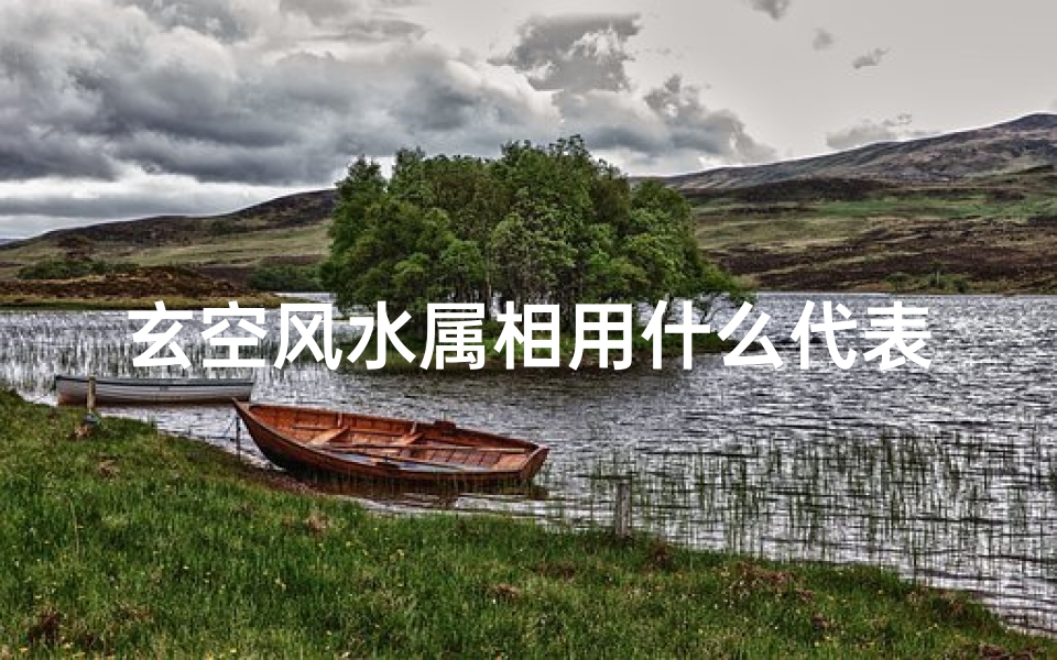 玄空风水属相用什么代表(根据属相选好家里鱼缸的摆放位置)
