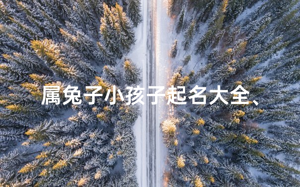 属兔子小孩子起名大全、《萌兔宝宝名字大全:可爱兔娃起名攻略》