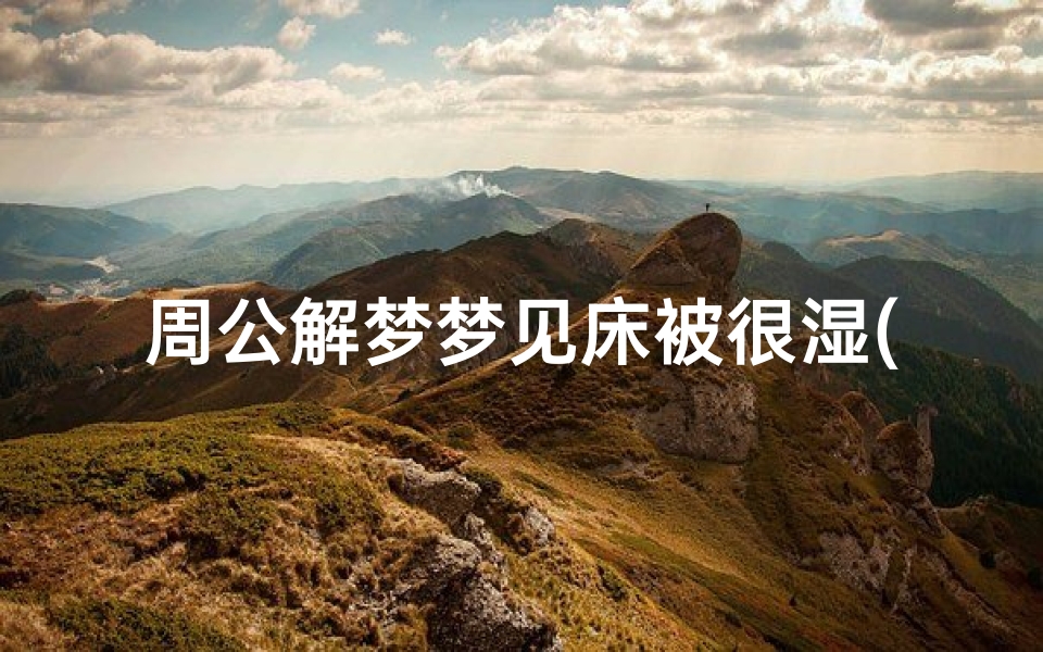 周公解梦梦见床被很湿(梦见床铺被褥被水打湿)