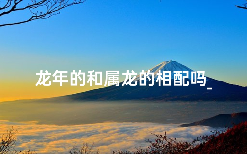 龙年的和属龙的相配吗_龙年生肖配对指南:揭秘属龙的最佳伴侣