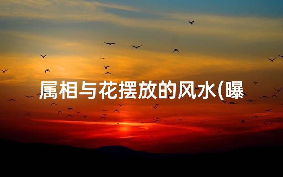 属相与花摆放的风水(曝12生肖家居风水禁忌,玩偶鲜花家具招财免灾方位)