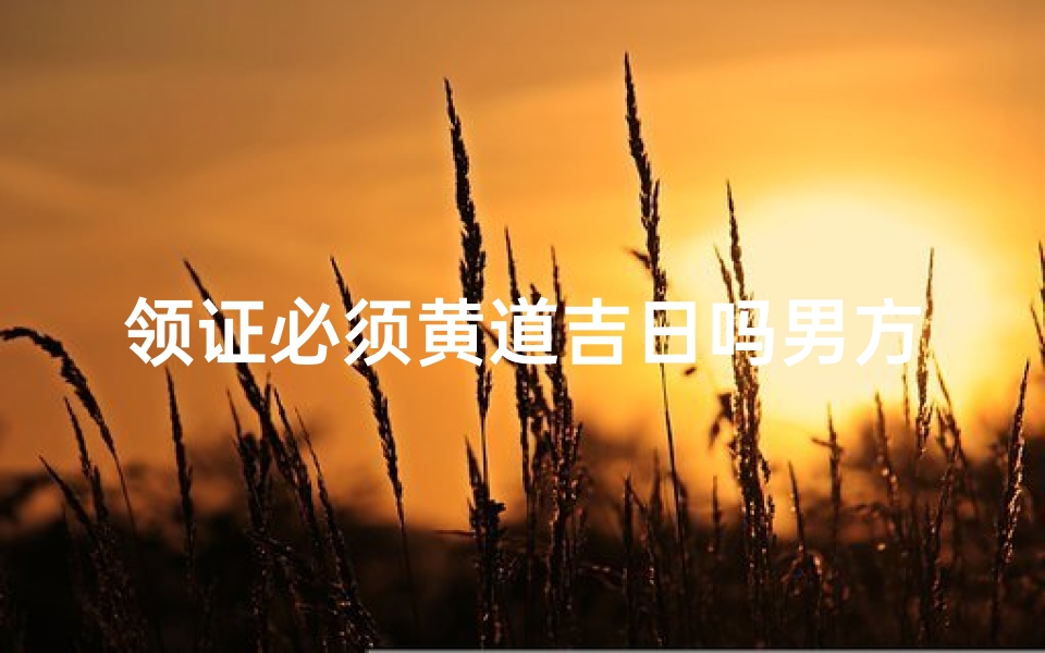 领证必须黄道吉日吗男方,领证是要男方提还是女方提