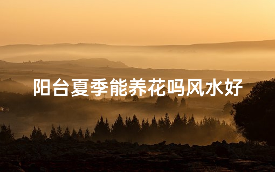 阳台夏季能养花吗风水好吗;阳台夏季能养花吗风水好吗视频