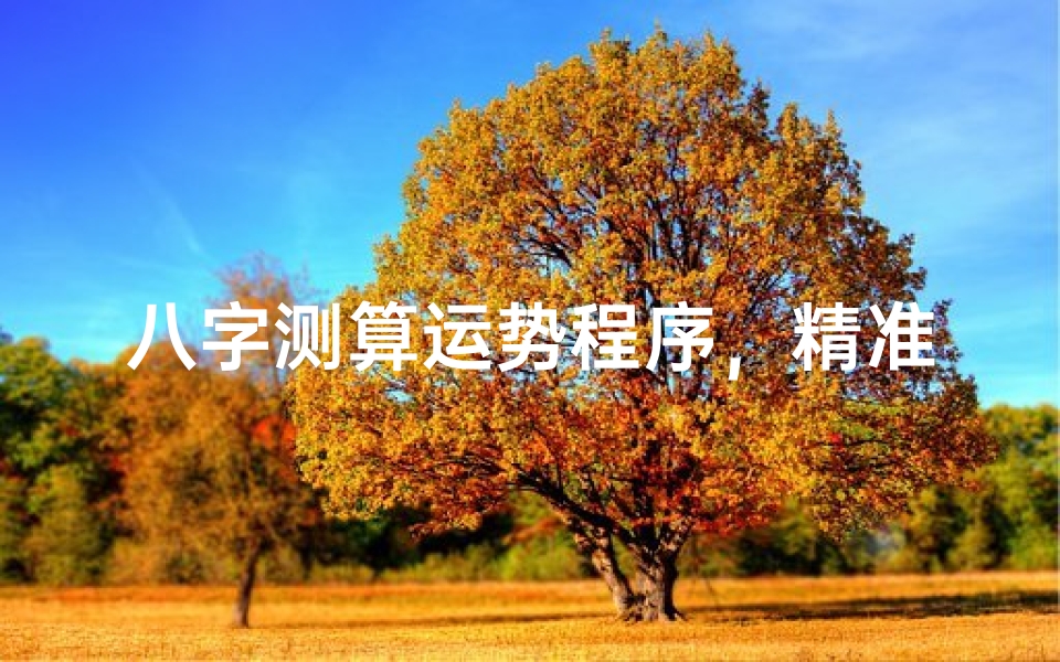 八字测算运势程序,精准预测未来人生走势