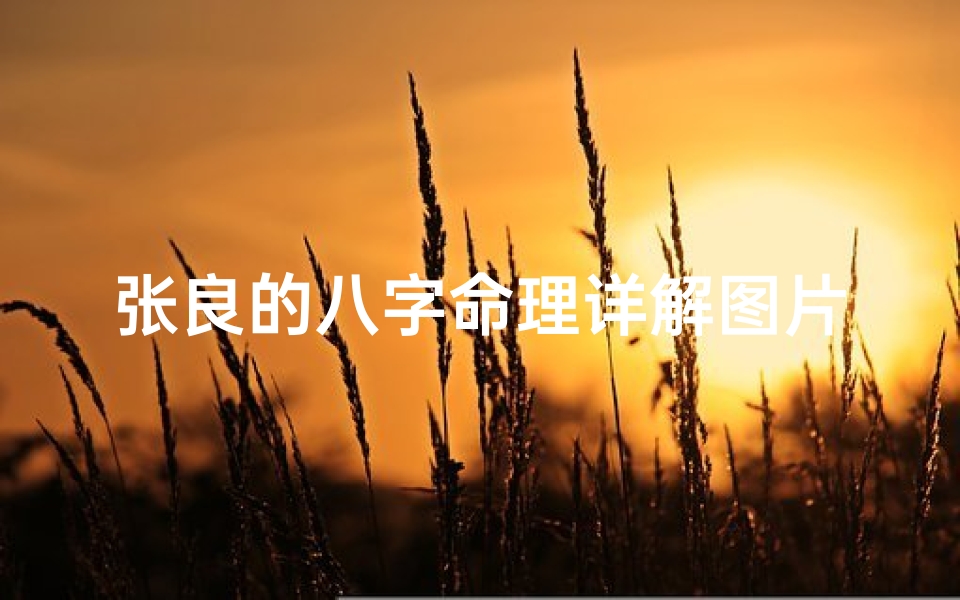 张良的八字命理详解图片(店铺风水问题)
