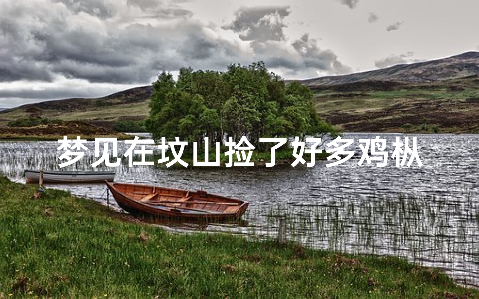 梦见在坟山捡了好多鸡枞菌-梦见在坟山捡了好多鸡枞菌好不好
