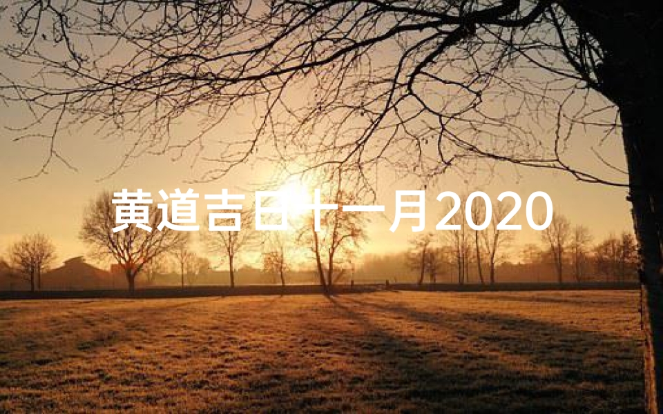 黄道吉日十一月2020—2020年黄道吉日十一月:喜庆良辰,好运连连