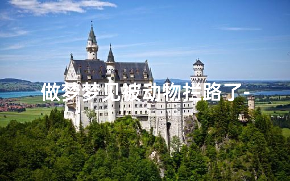 做梦梦见被动物拦路了-做梦梦见被动物拦路了什么意思