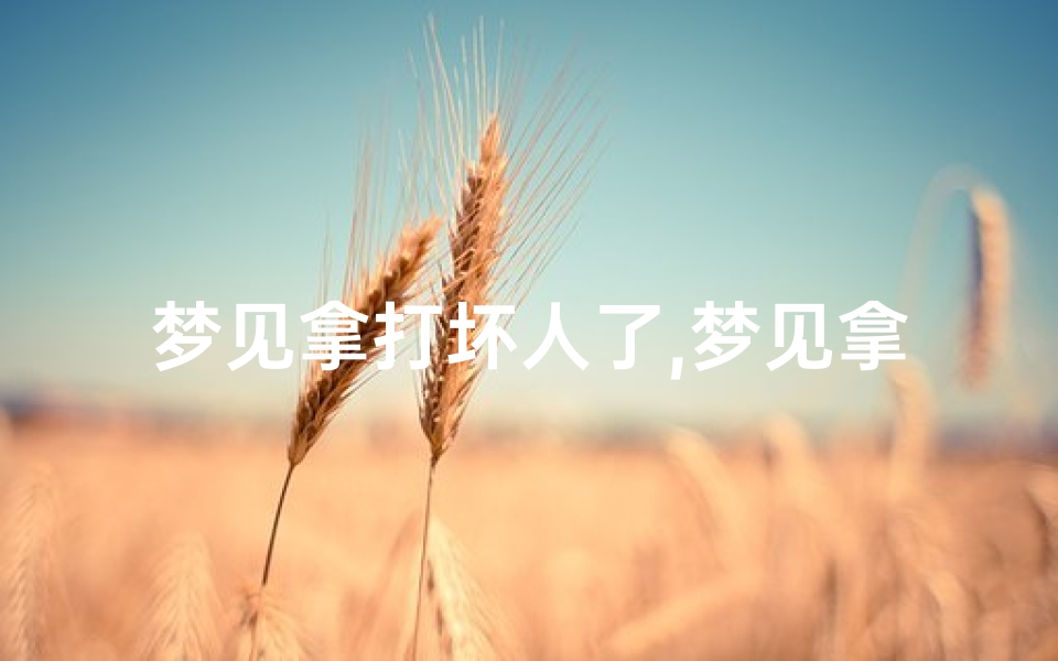 梦见拿打坏人了,梦见拿枪射击打坏人
