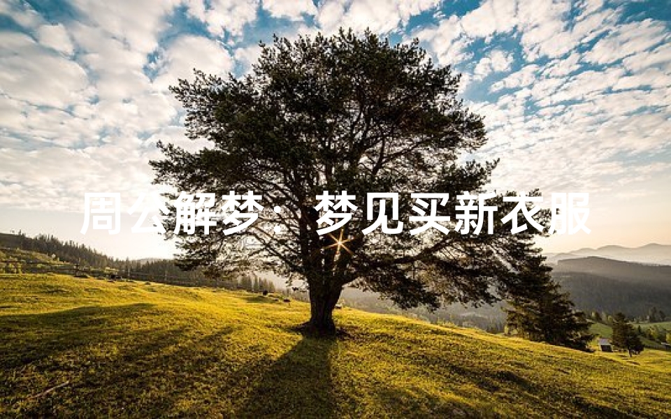 周公解梦:梦见买新衣服预示着新气象的开始。