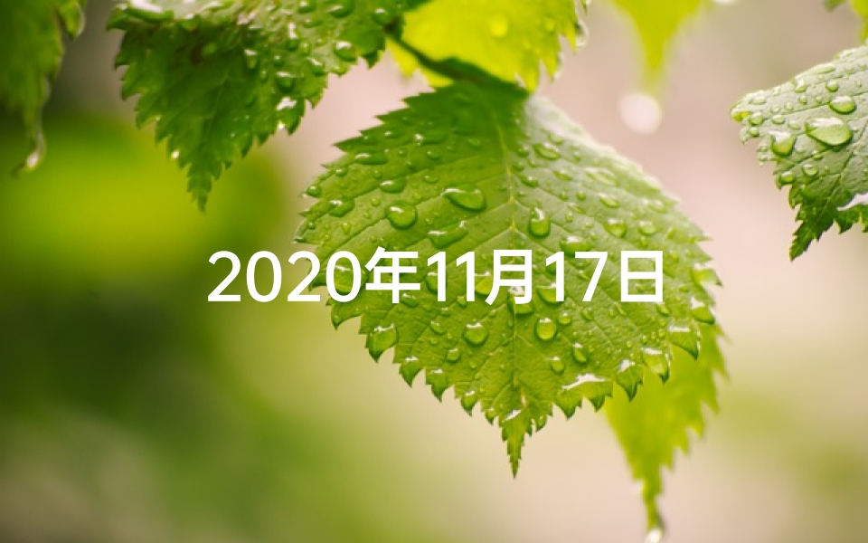 2020年11月17日十二属相运势、11月17日生肖鼠运势:今日吉星高照,好运连连