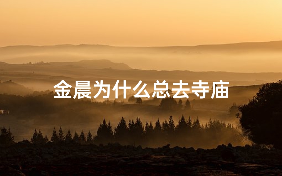 金晨为什么总去寺庙