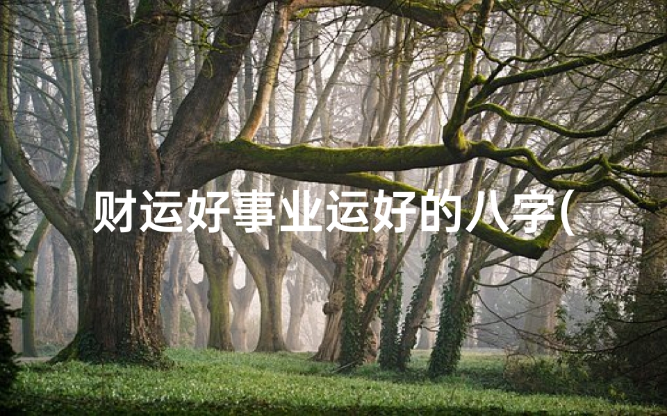 财运好事业运好的八字(天生偏财运好的八字有哪些 )