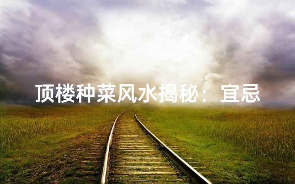 顶楼种菜风水揭秘:宜忌与布局指南
