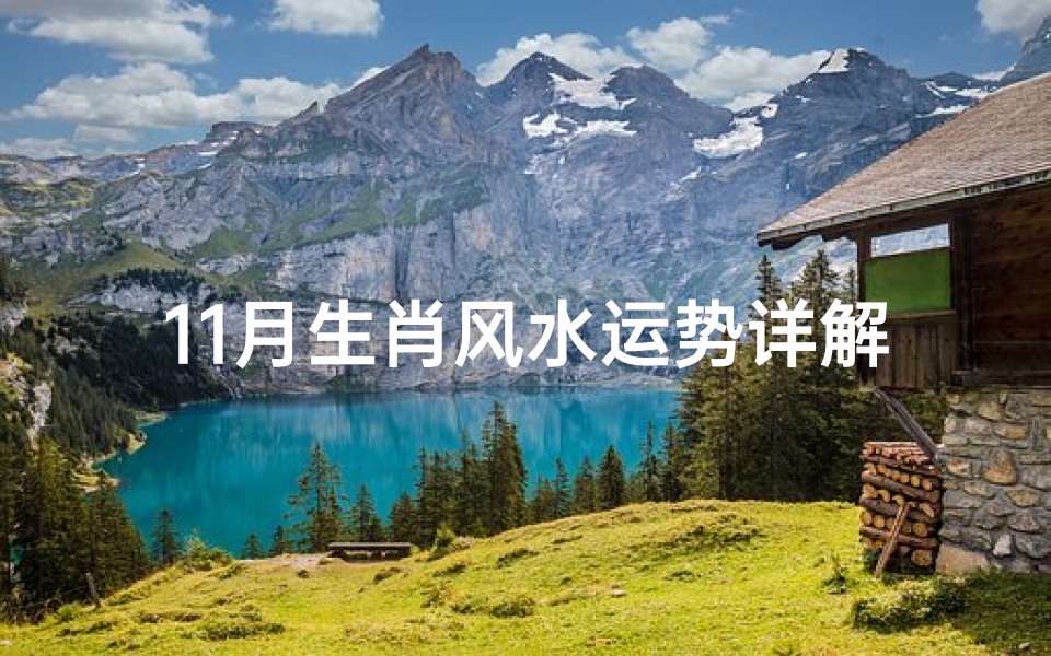 11月生肖风水运势详解,十一月份生肖运势