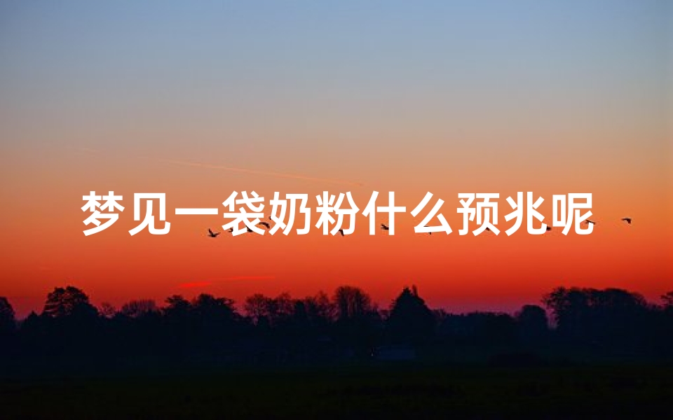 梦见一袋奶粉什么预兆呢,梦见桶装奶粉