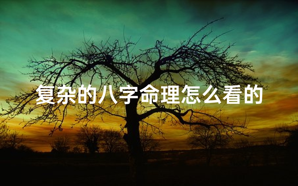 复杂的八字命理怎么看的(八字如何看)