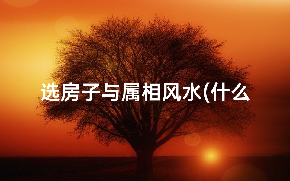 选房子与属相风水(什么属相住最旺房子)