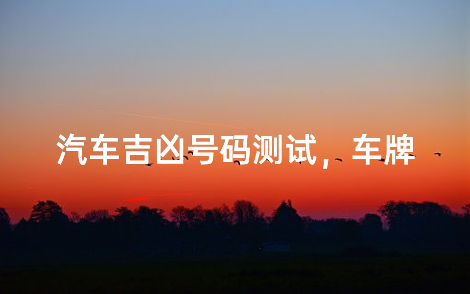 汽车吉凶号码测试,车牌号码对运势的影响解析