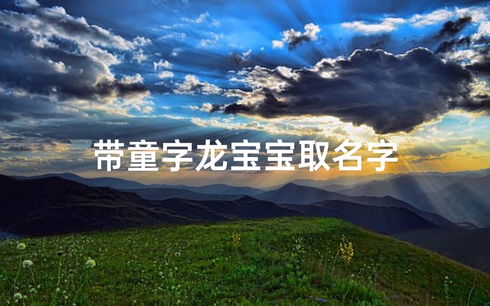 带童字龙宝宝取名字