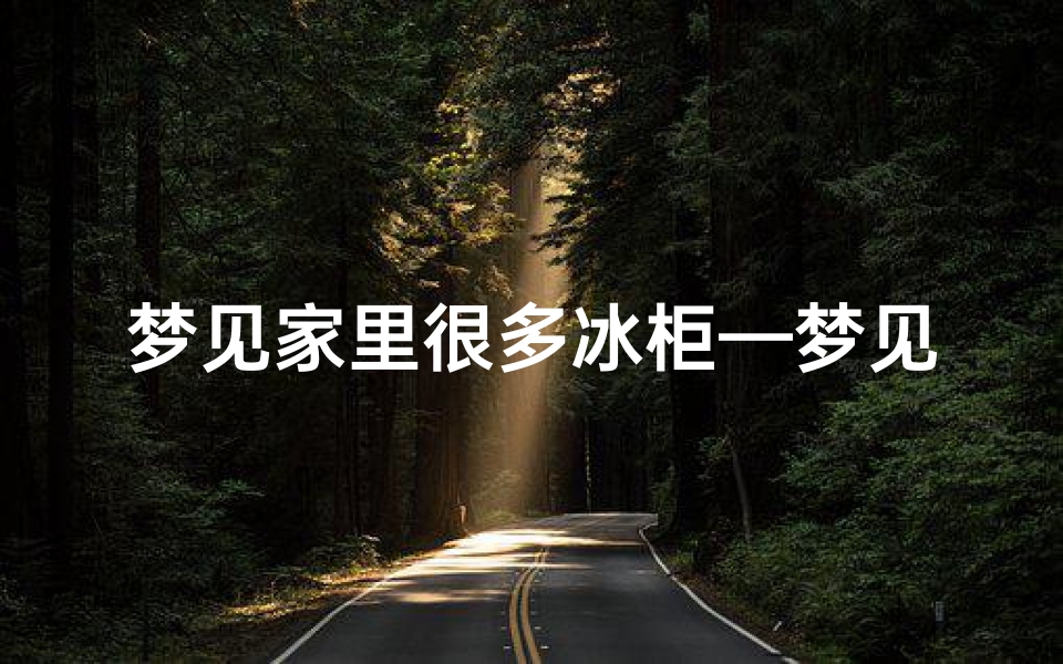 梦见家里很多冰柜—梦见家里冰柜起火了