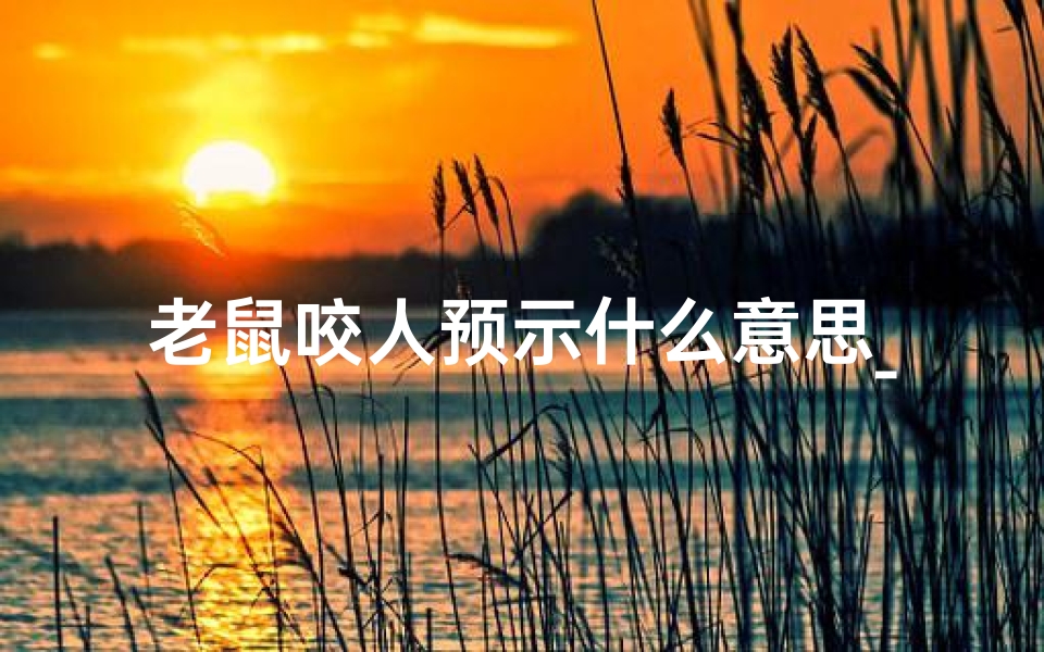 老鼠咬人预示什么意思_老鼠咬人见怪预兆,吉凶难测之谜揭晓