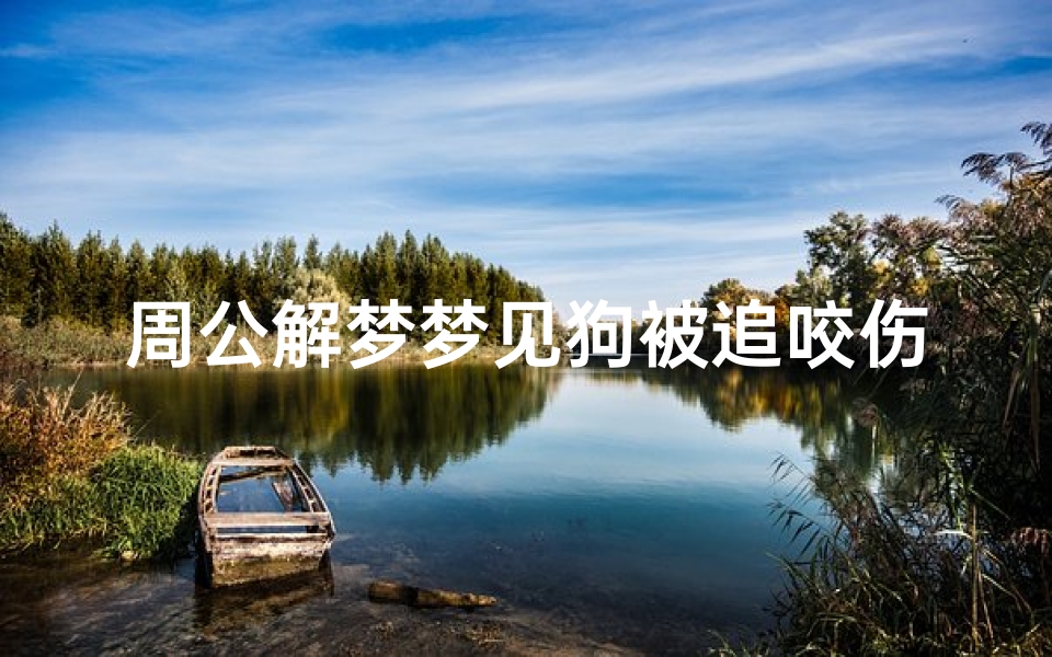 周公解梦梦见狗被追咬伤(梦见捉狗被狗咬了的预兆)