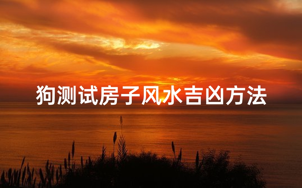 狗测试房子风水吉凶方法(家里风水不好狗狗提醒你的)