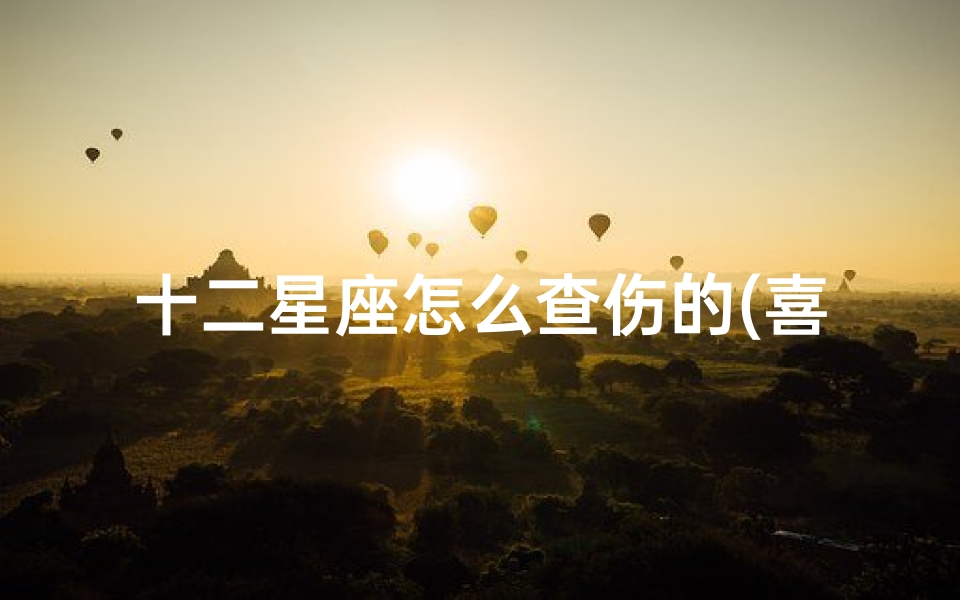 十二星座怎么查伤的(喜欢的人受伤了十二星座会怎么做)