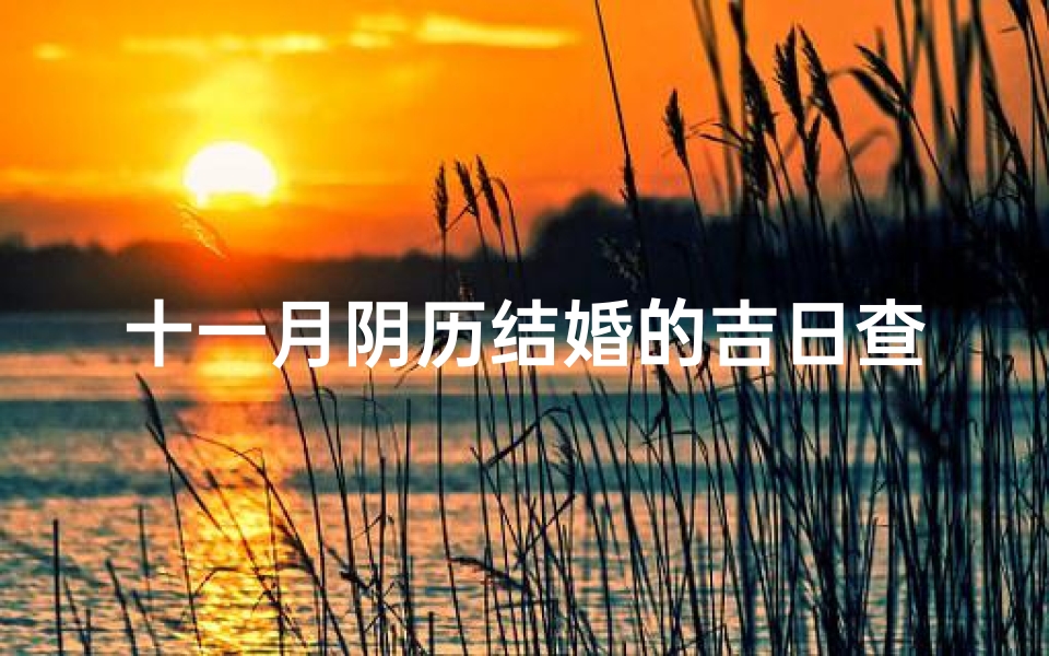 十一月阴历结婚的吉日查询(谁帮查下今年阴历十一月结婚吉日有哪几天…)