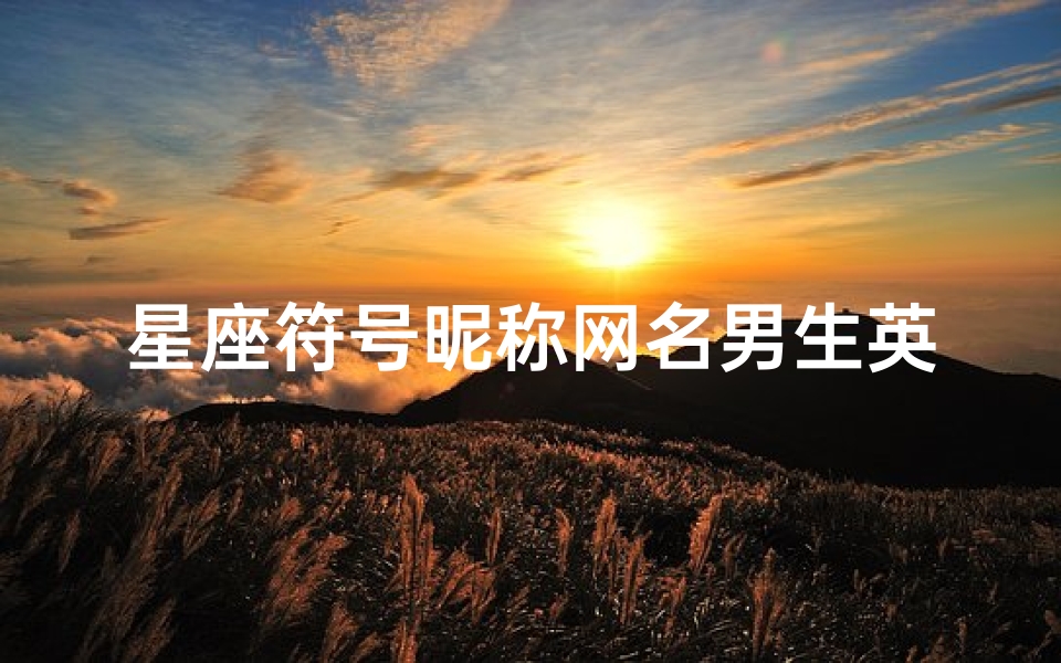 星座符号昵称网名男生英文(男生个性网名带符号)