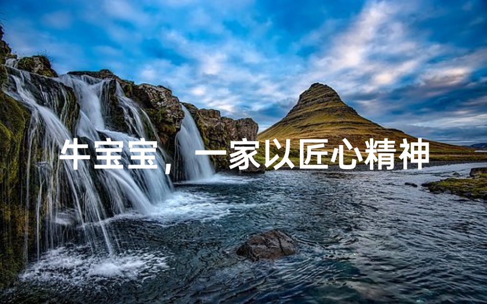 牛宝宝,一家以匠心精神打造牛肉美食的温馨餐厅