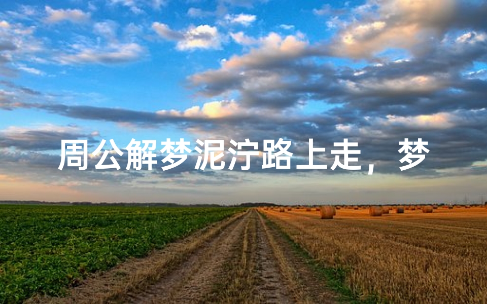 周公解梦泥泞路上走,梦境中艰难前行的深层含义