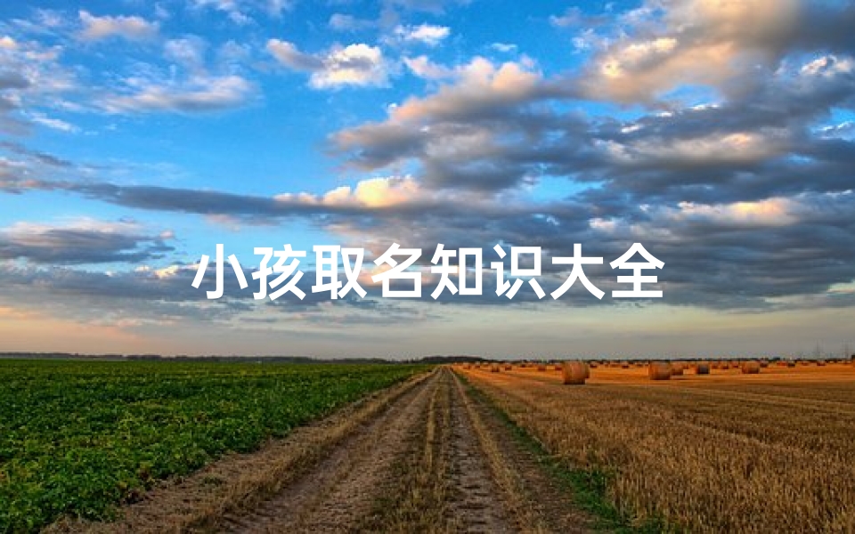 小孩取名知识大全