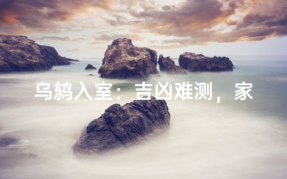 乌鸫入室:吉凶难测,家宅安宁?
