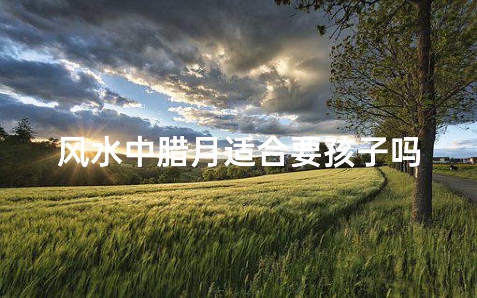 风水中腊月适合要孩子吗