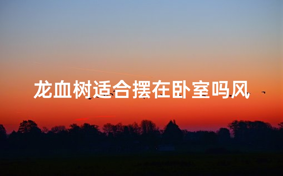 龙血树适合摆在卧室吗风水好吗;龙血树放在卧室对身体有害吗?