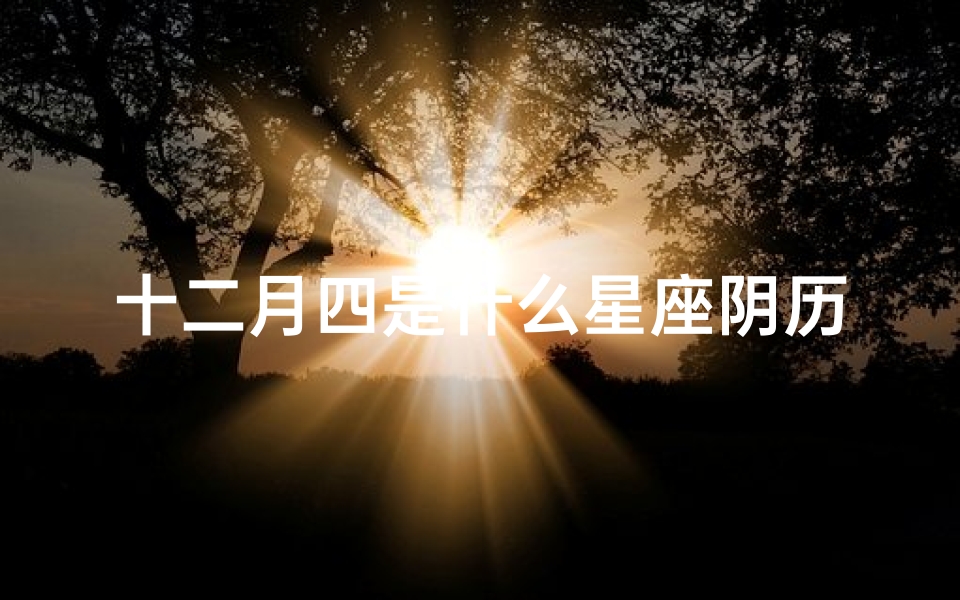 十二月四是什么星座阴历(1983农历12月4日是什么星座配对)