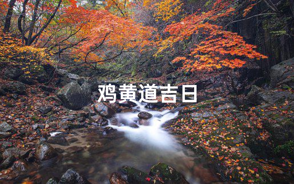 鸡黄道吉日