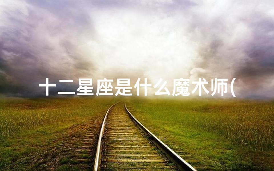 十二星座是什么魔术师(如果十二星座开酒吧该怎样分配工作 )