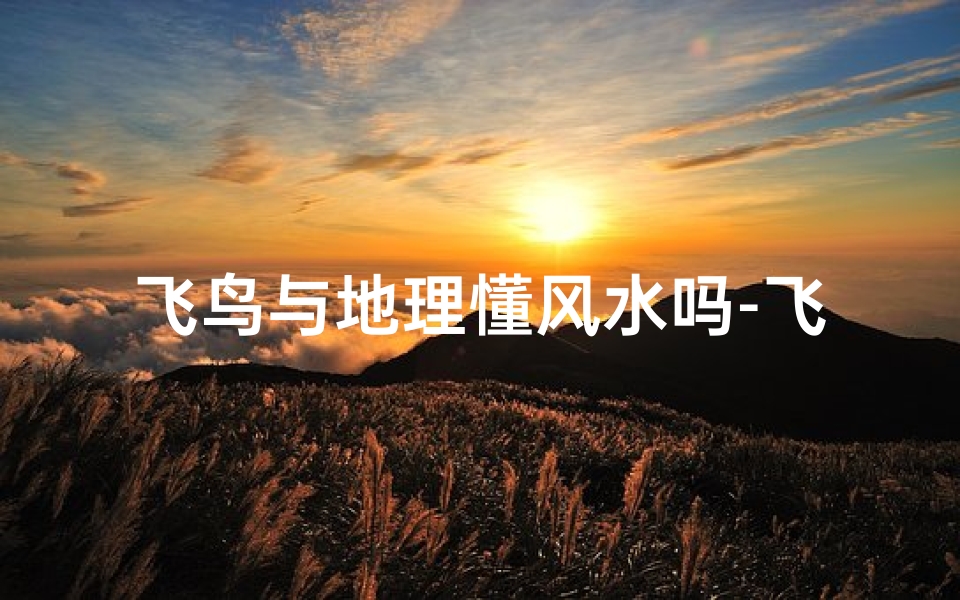 飞鸟与地理懂风水吗-飞鸟离凶