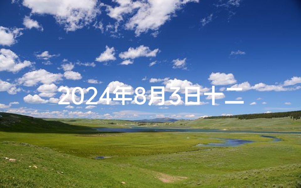2024年8月3日十二生肖运势大揭秘